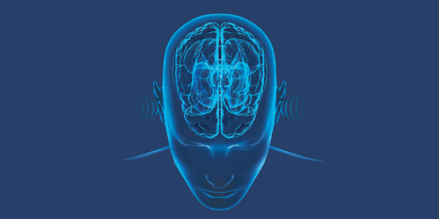 Digram Of A Person's Head With Tinnitus