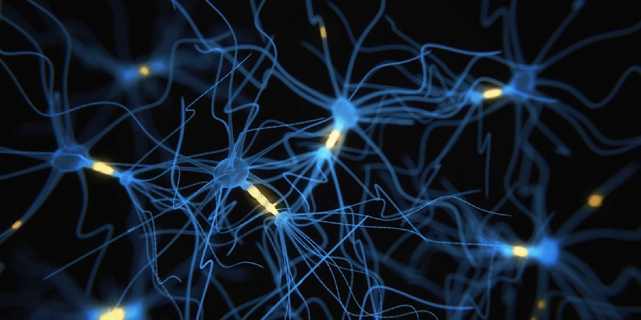 Neural Network