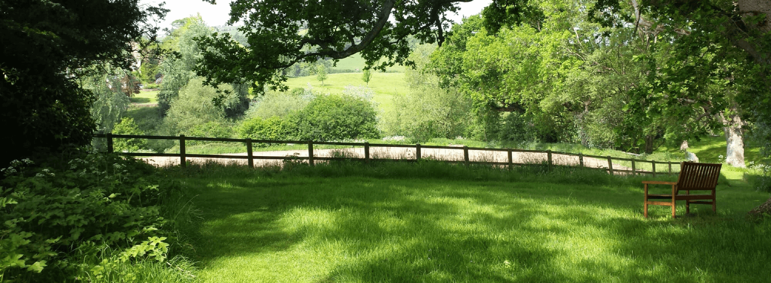 Bench In Hertfordshire Field