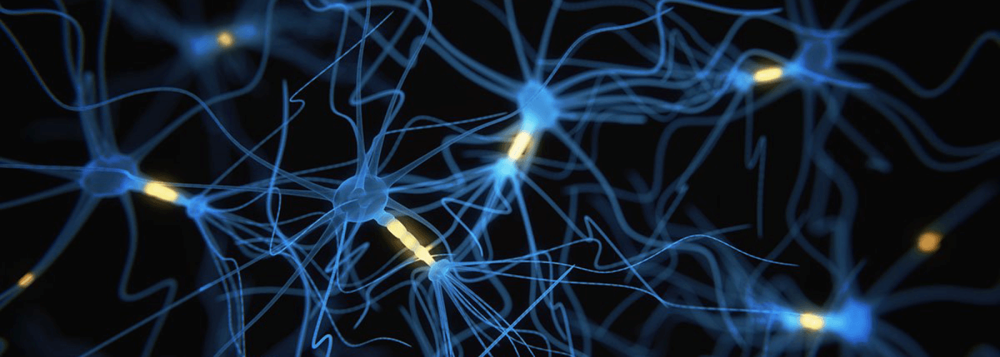Neural Network