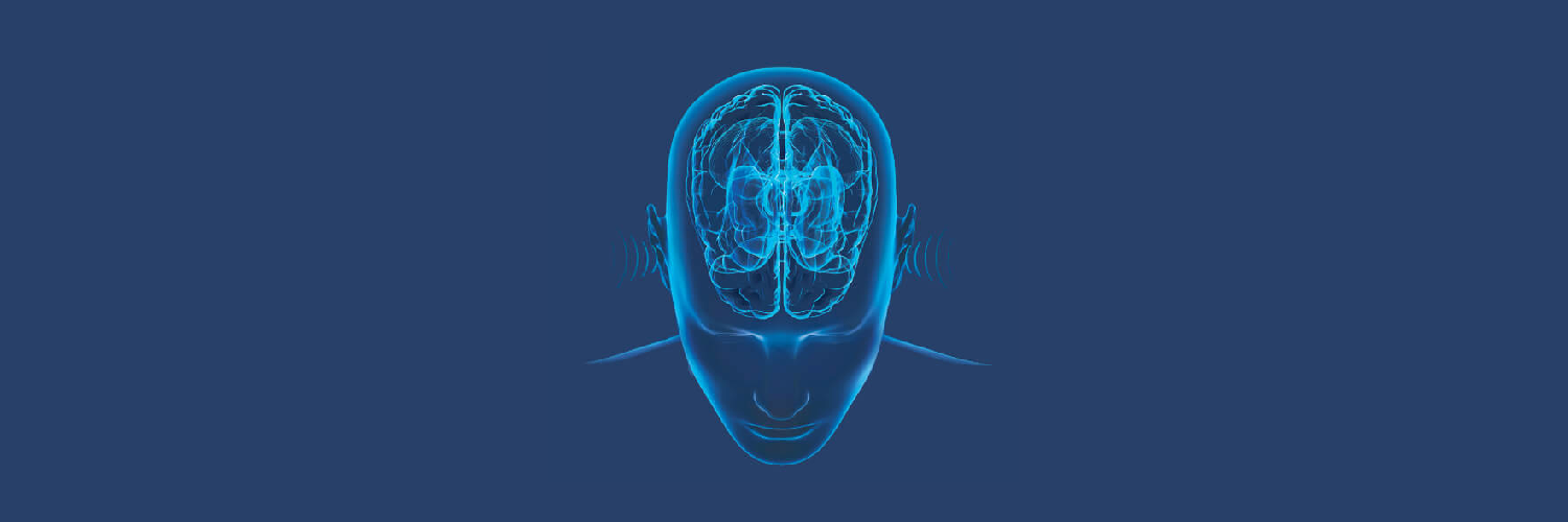 Brain And Ears Listening