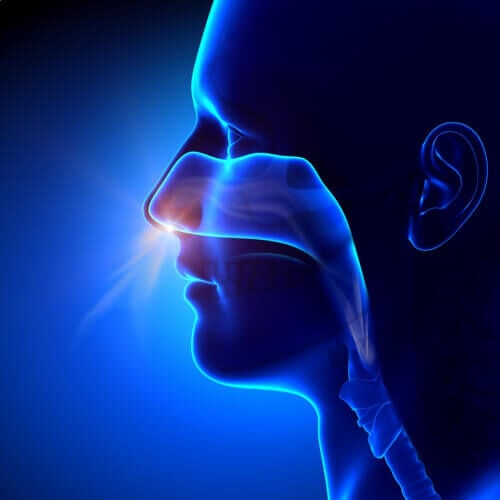 Breathing Diagram